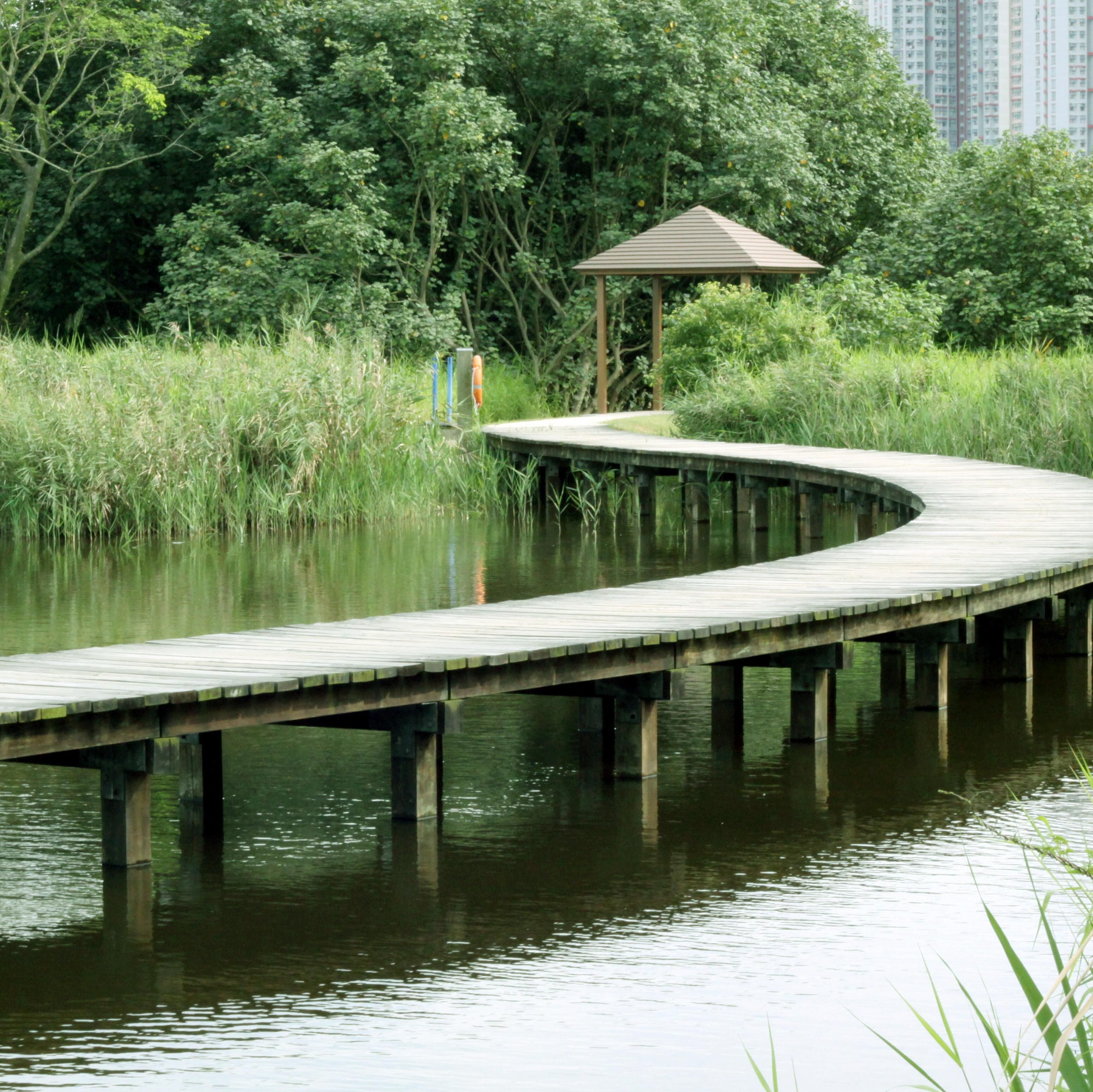 Wetland Park