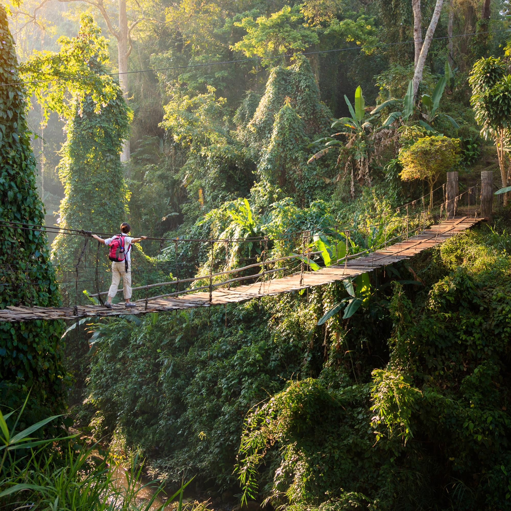 Побродить по тайским джунглям