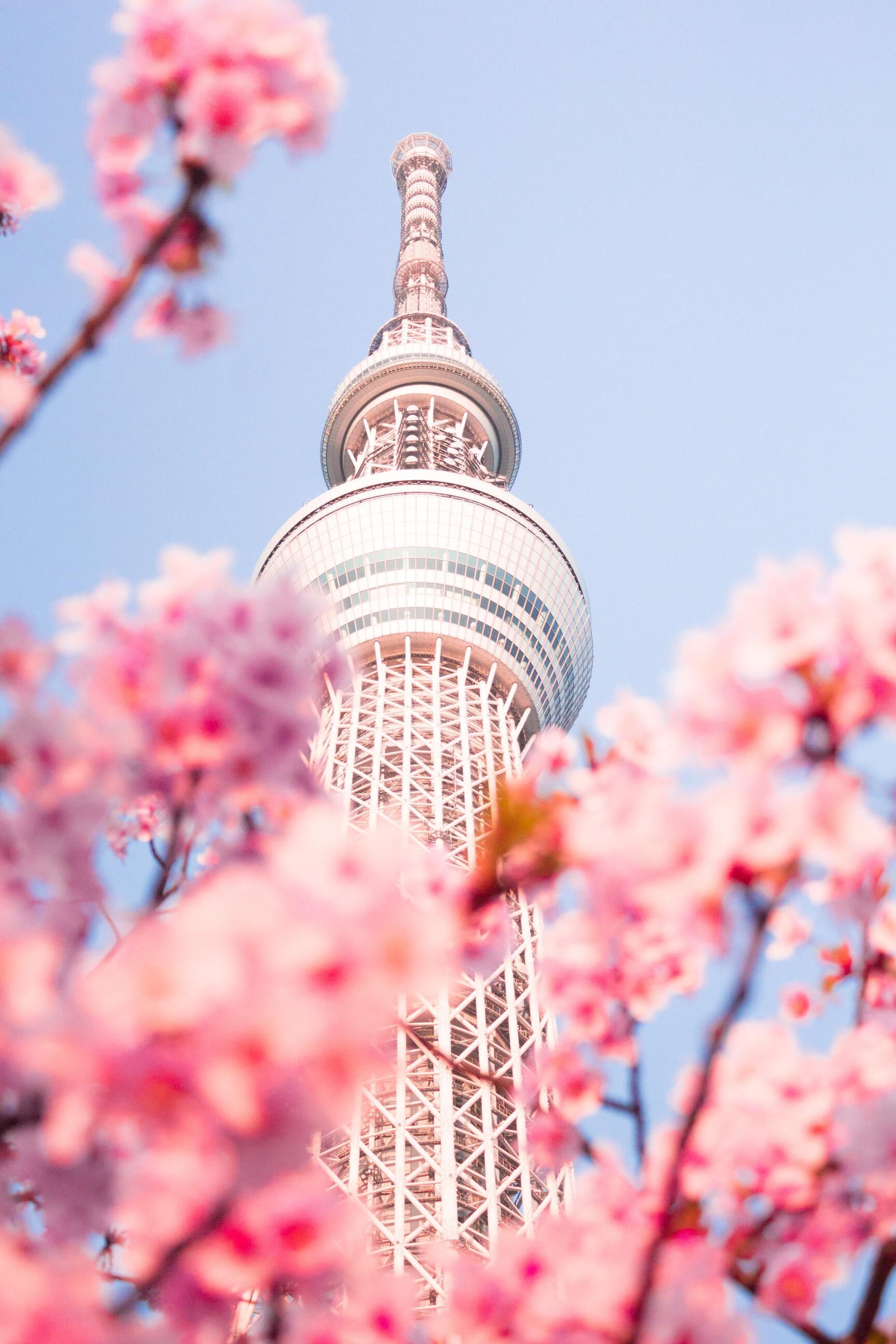Башня Tokyo Skytree