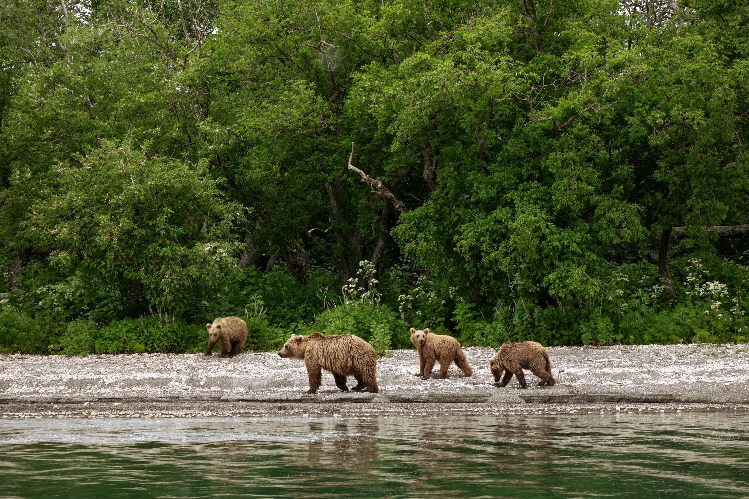 Курильское озеро