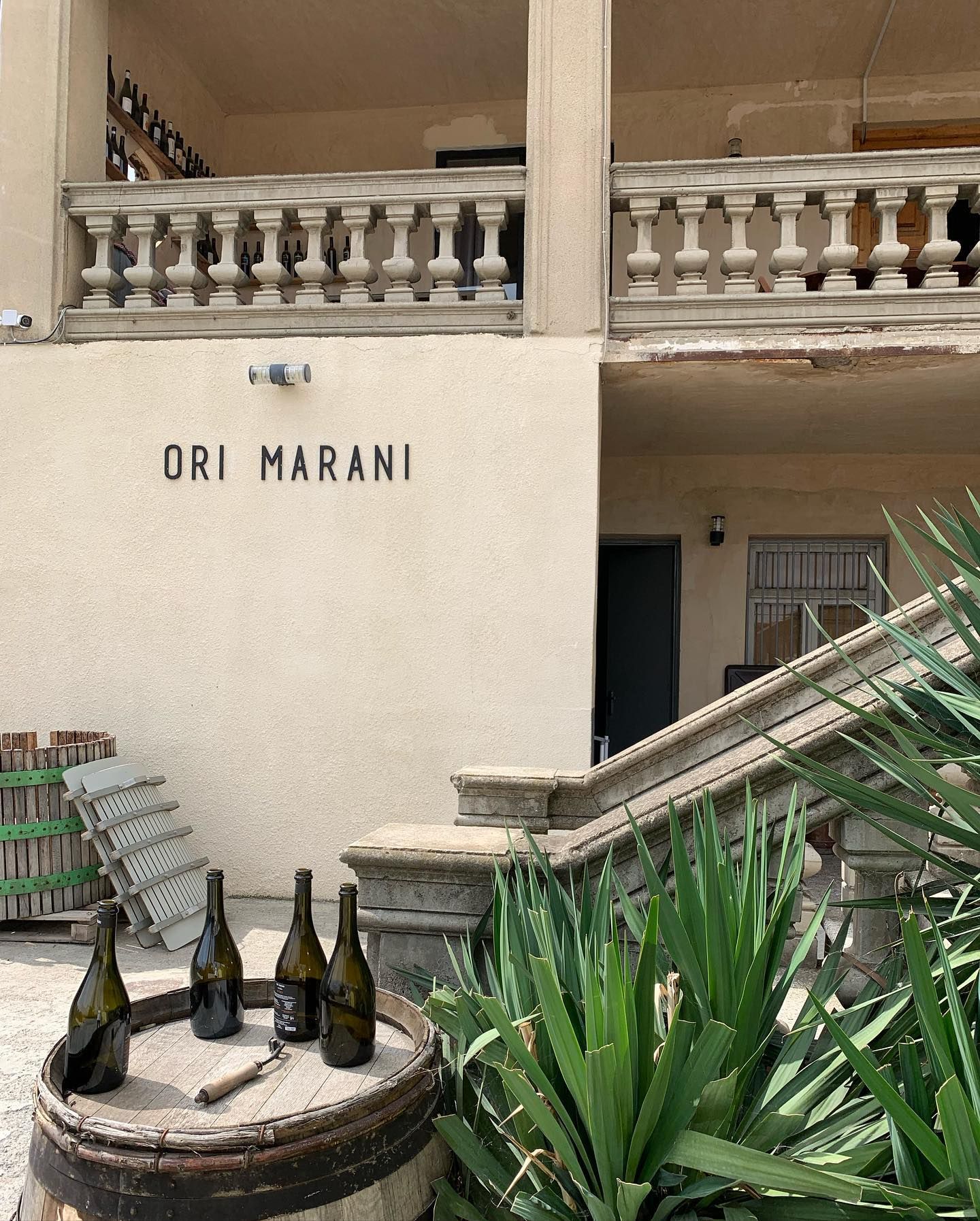 Ori Marani Wines