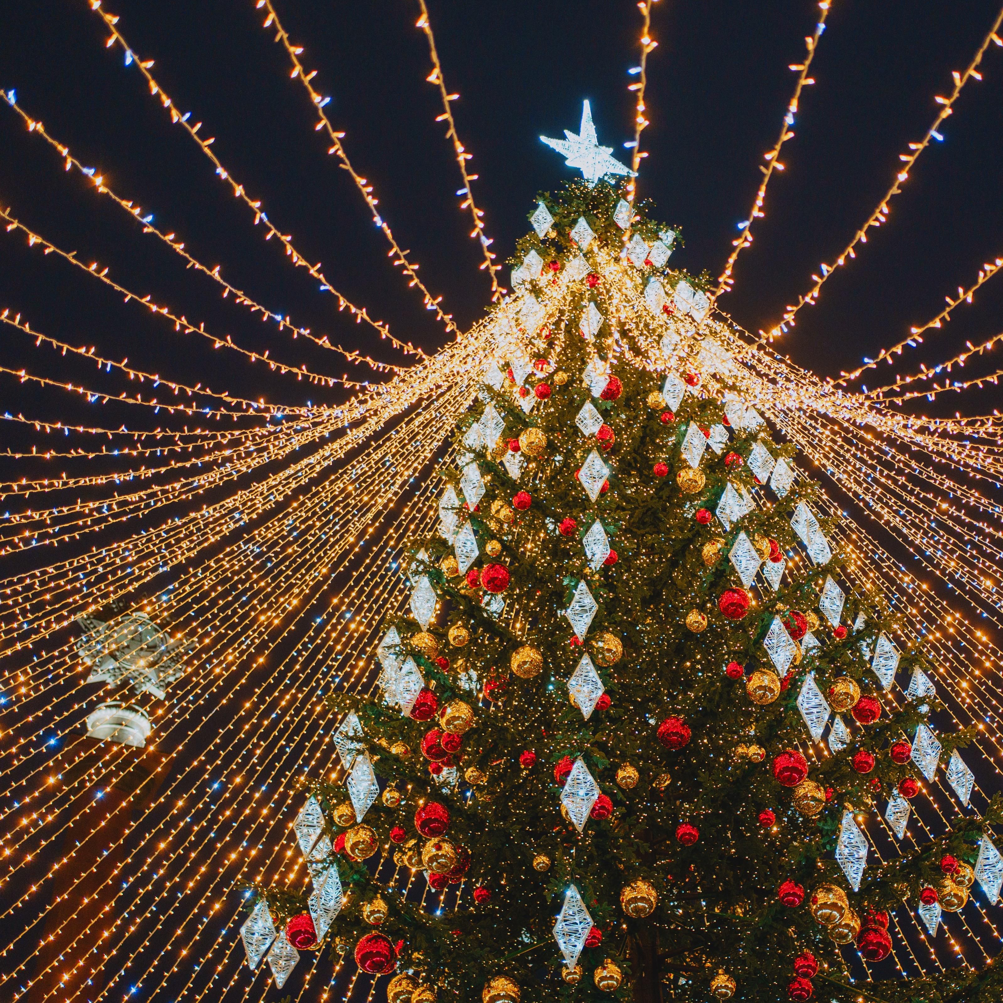 Ёлка на площади Победы