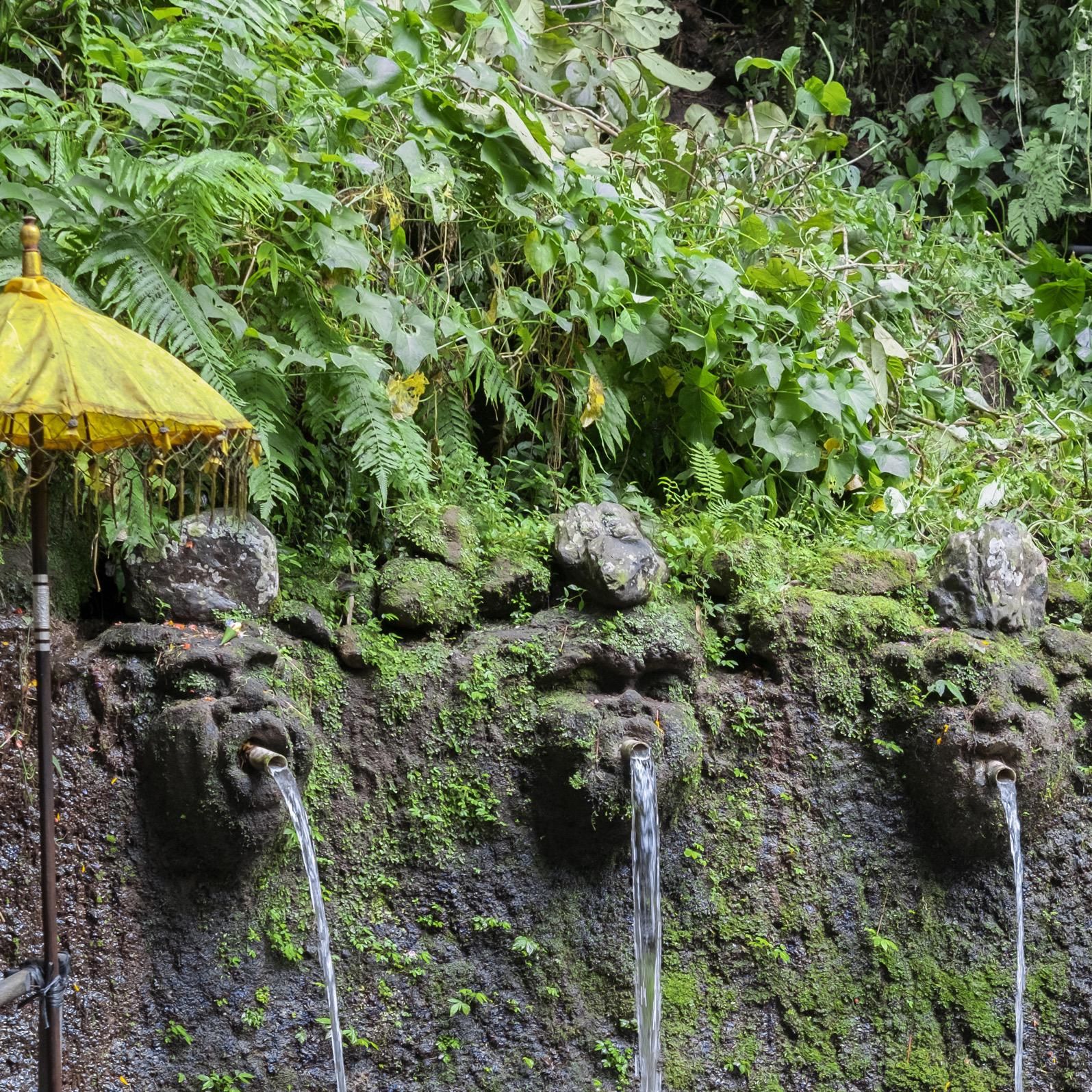 Святые источники Sebatu