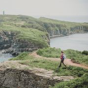 Исследовать остров Русский