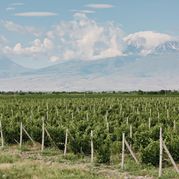 Сгонять на винодельню