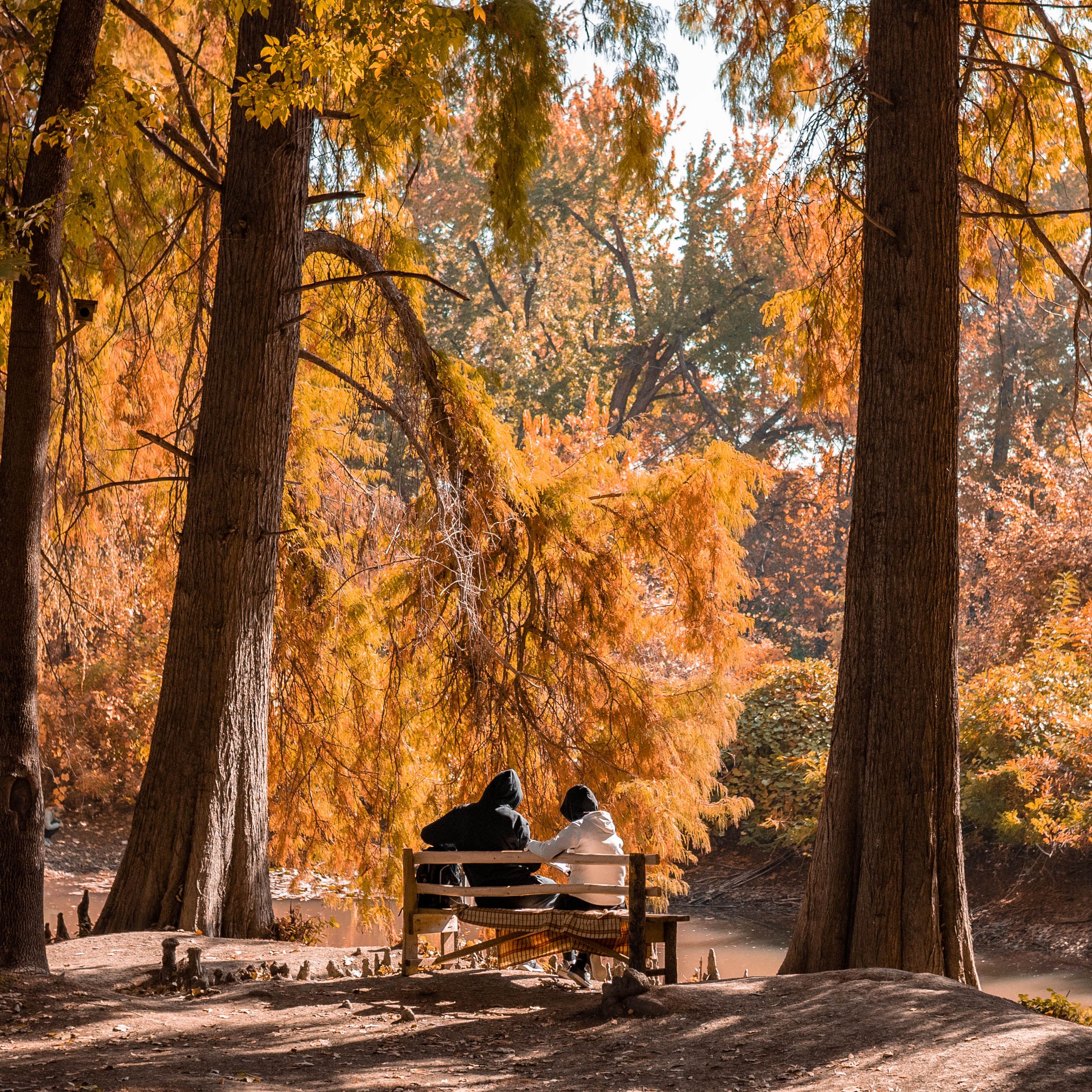 Ботаникалық бақ