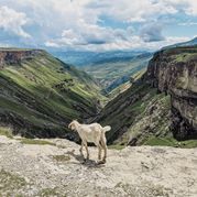 Погулять по Хунзахскому плато