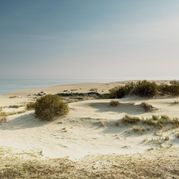 Увидеть Куршскую косу