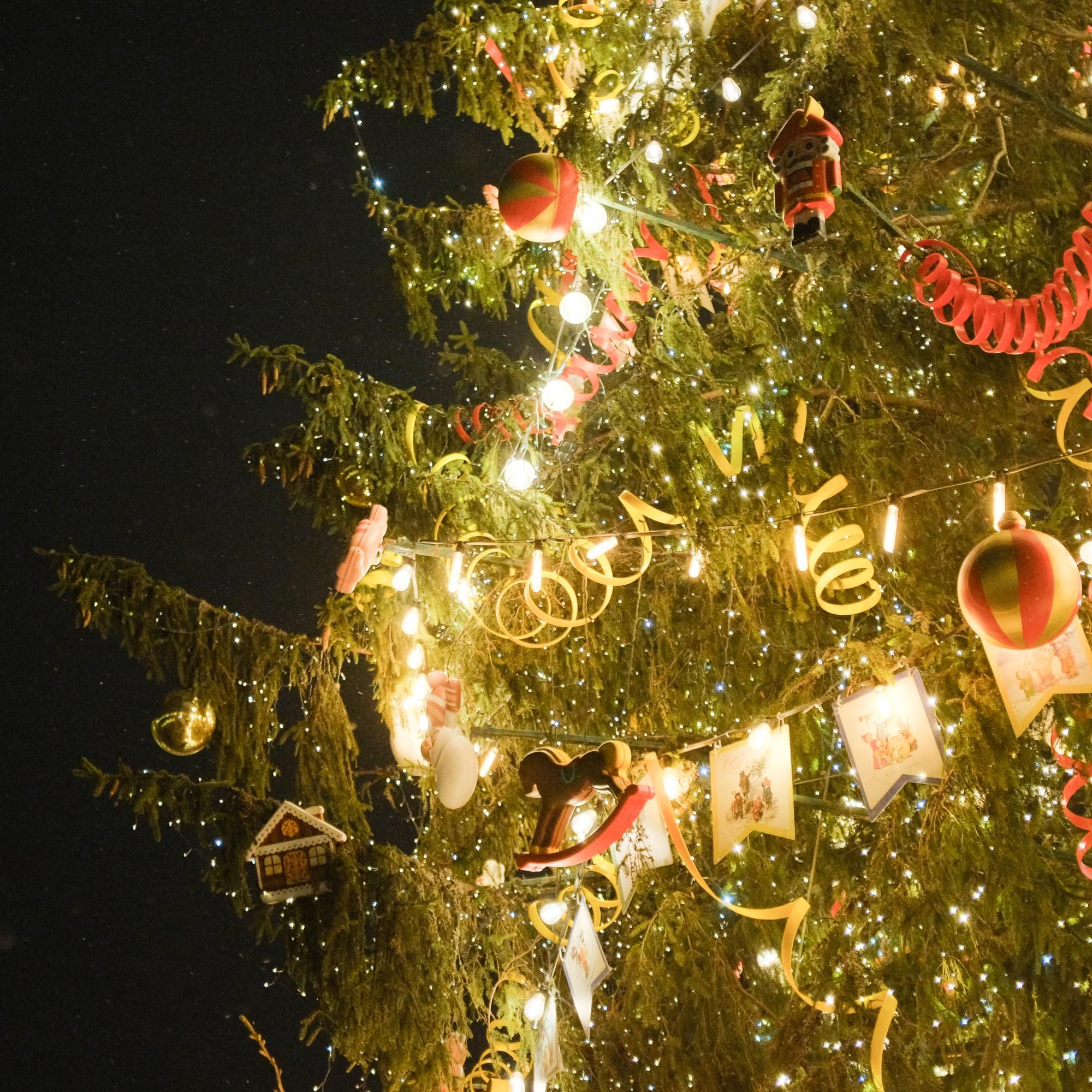 Ёлка на Дворцовой площади