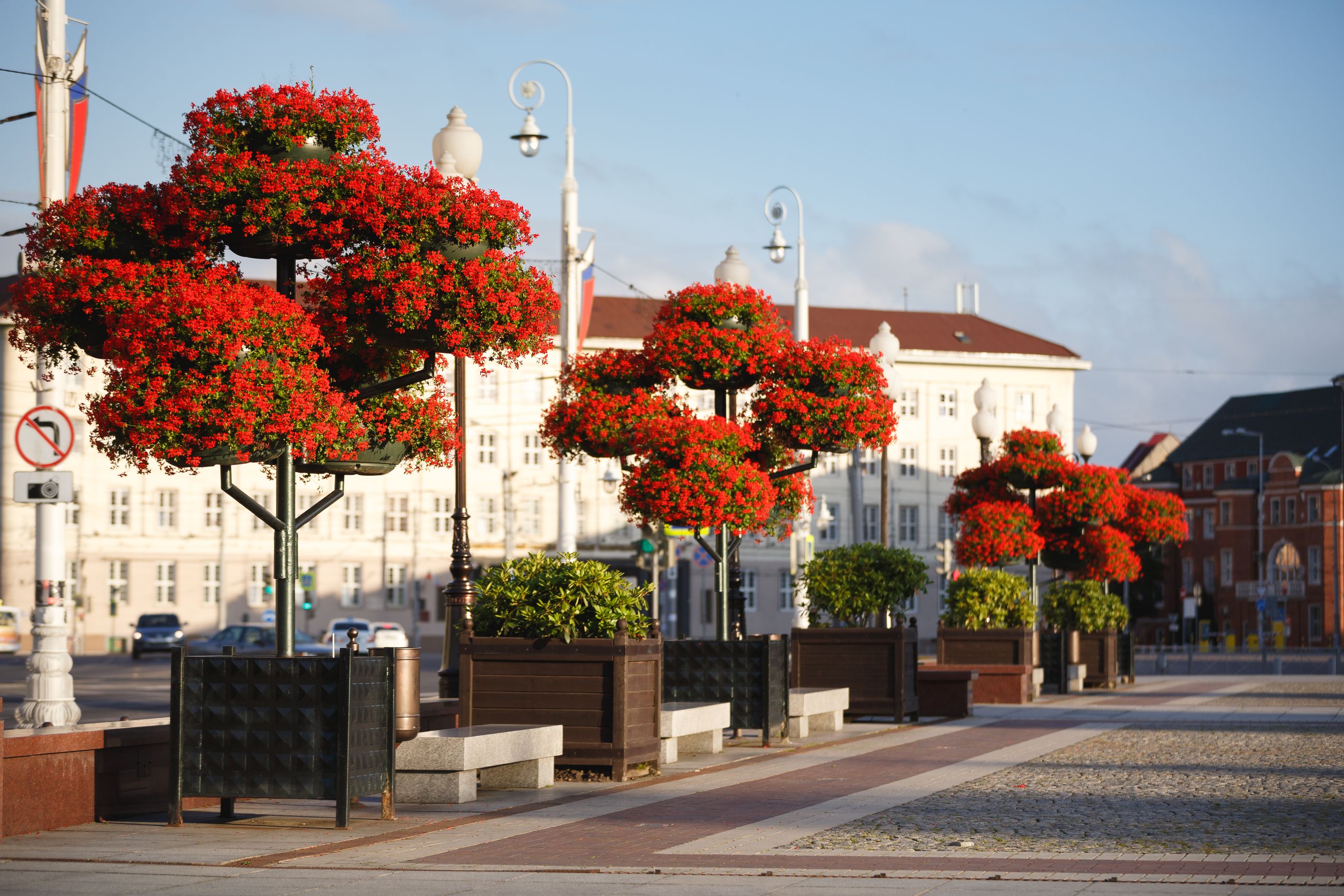 Площадь Победы