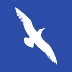 Cape Air