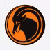 TAAG Angola Airlines