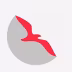 Air Arabia