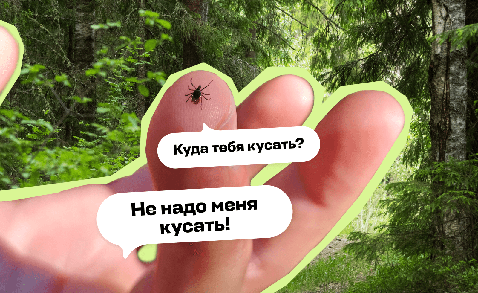 Что делать, если укусил клещ