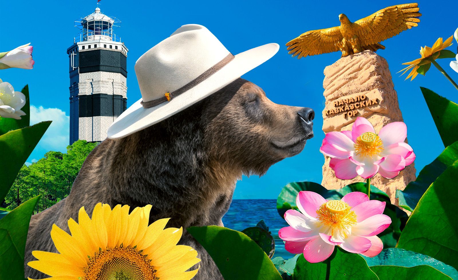 Путеводитель по Анапе: Кипарисовое озеро, винодельни и долина лотосов