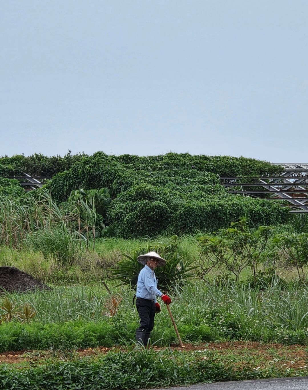 2025-11-12 01-09-28.JPG