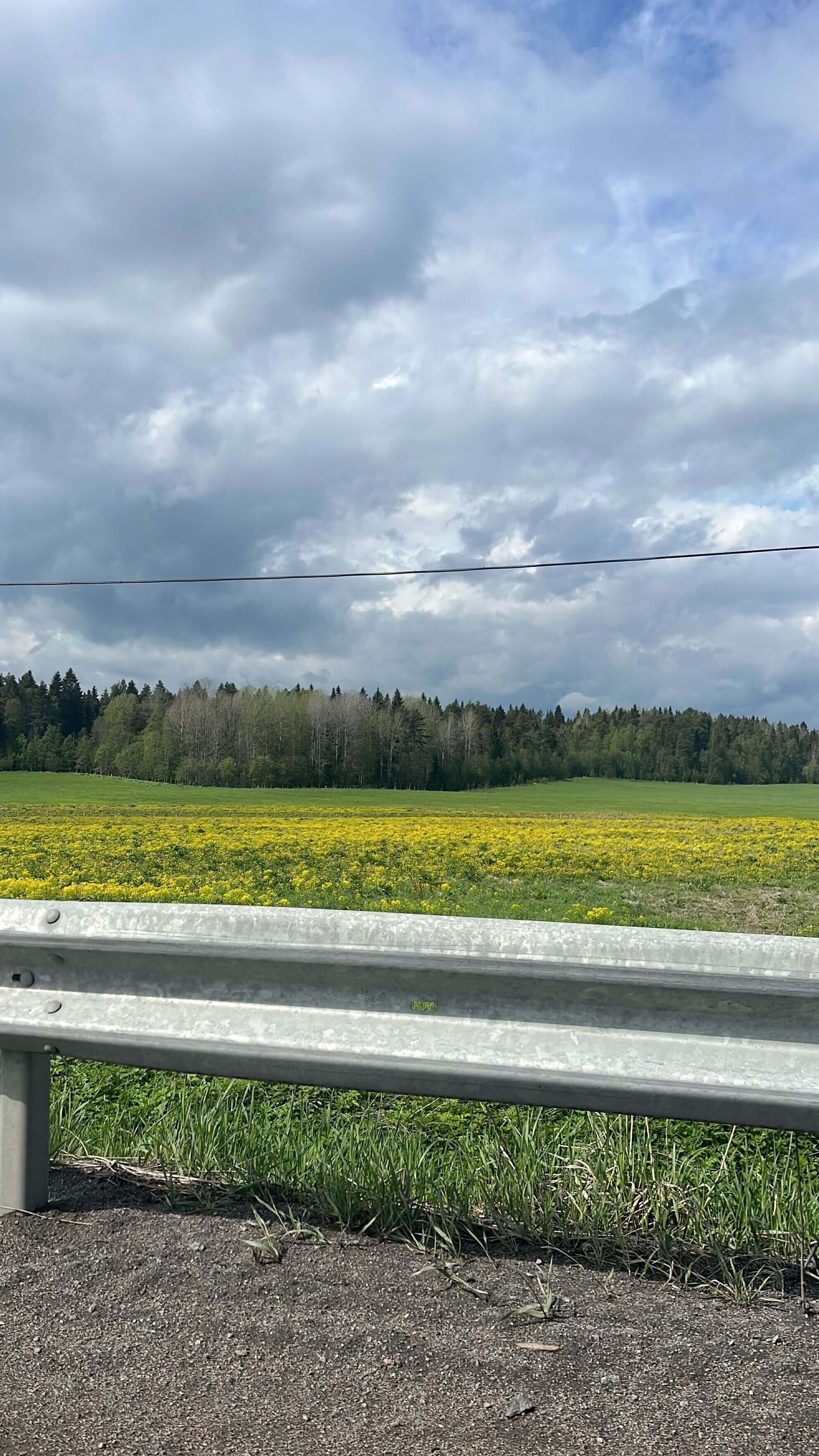 Дорог в Москву