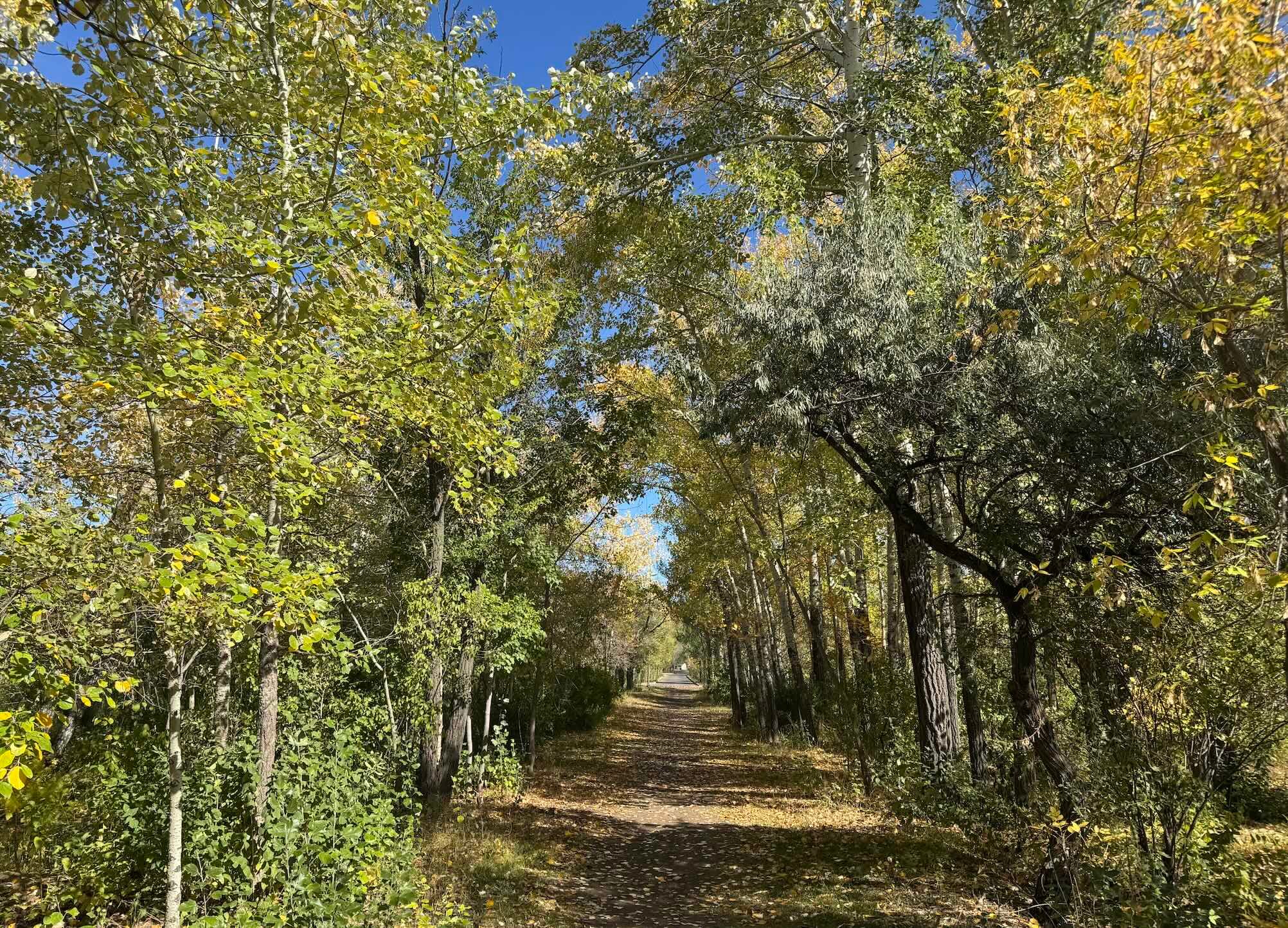 5 Центральный парк.jpg