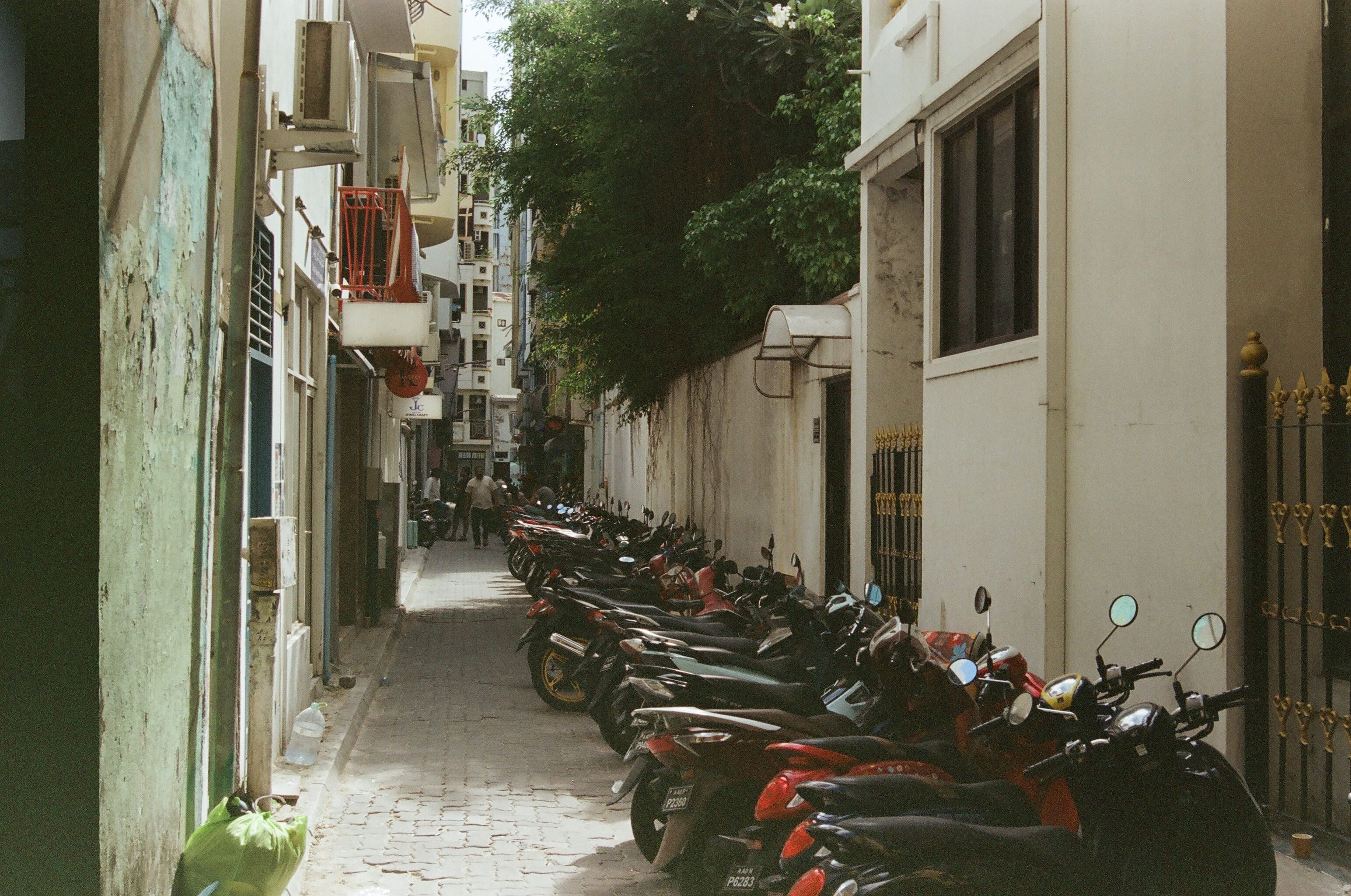 80580024.jpg