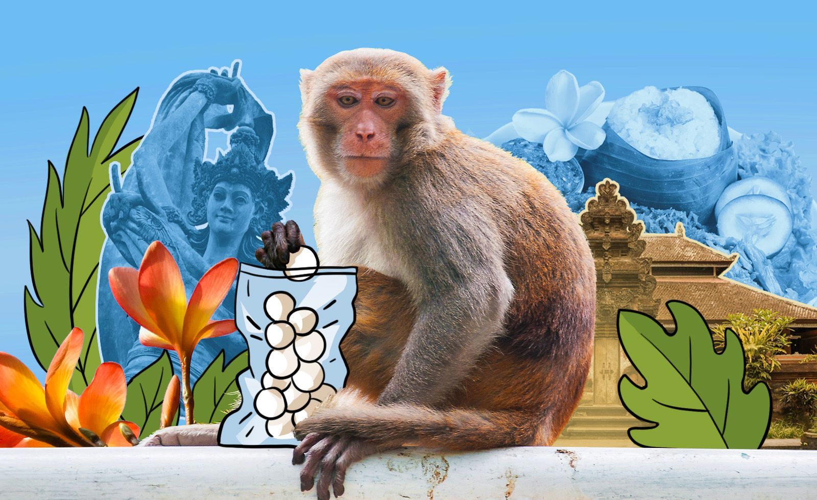 Ubud bo‘yicha qo‘llanma: qachon borish, qayerga borish va birinchi marta borayotgan bo‘lsangiz, nimalarga tayyor bo‘lish kerak?