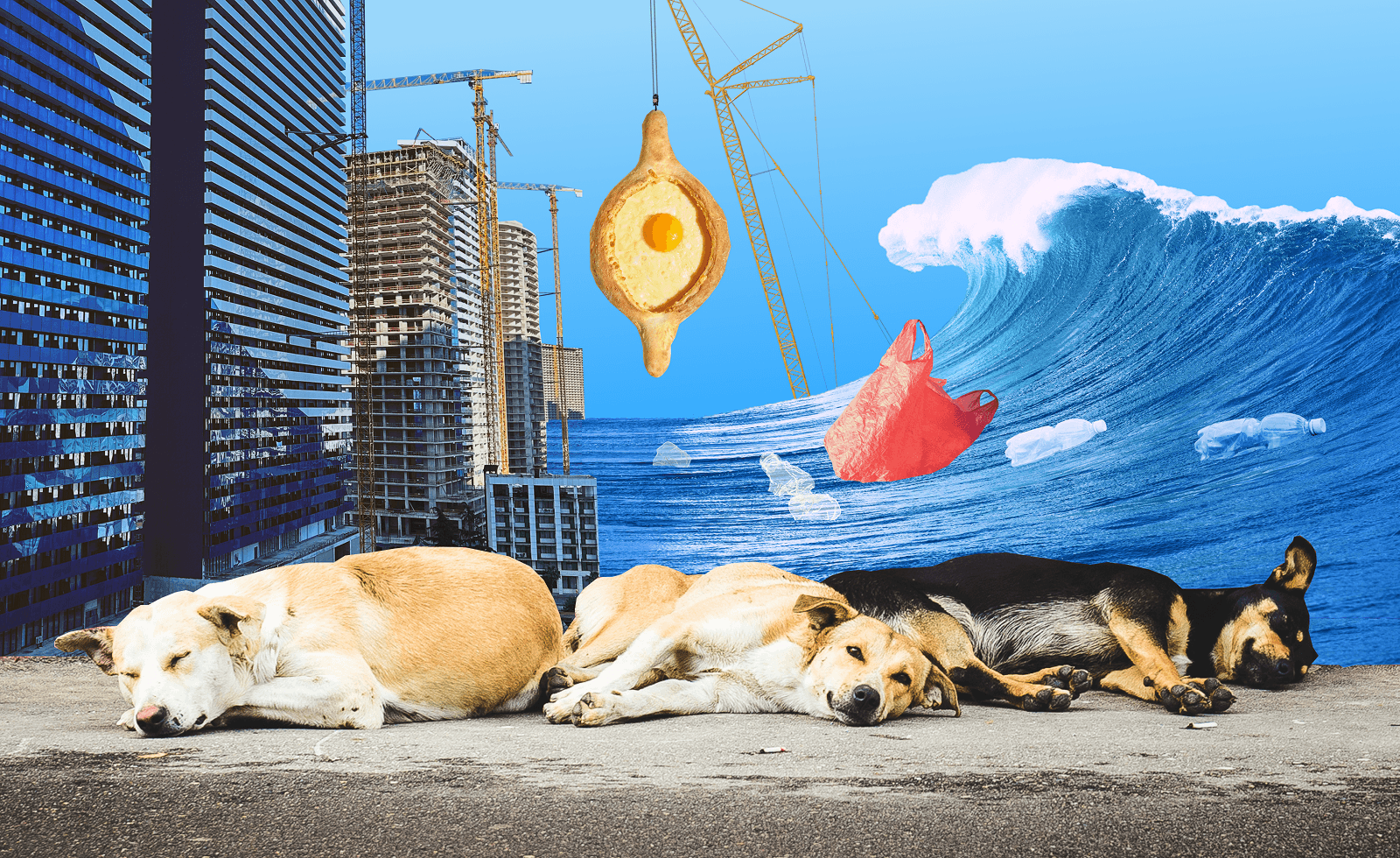 Вечная стройка и плохой сервис: почему мне не понравился Батуми