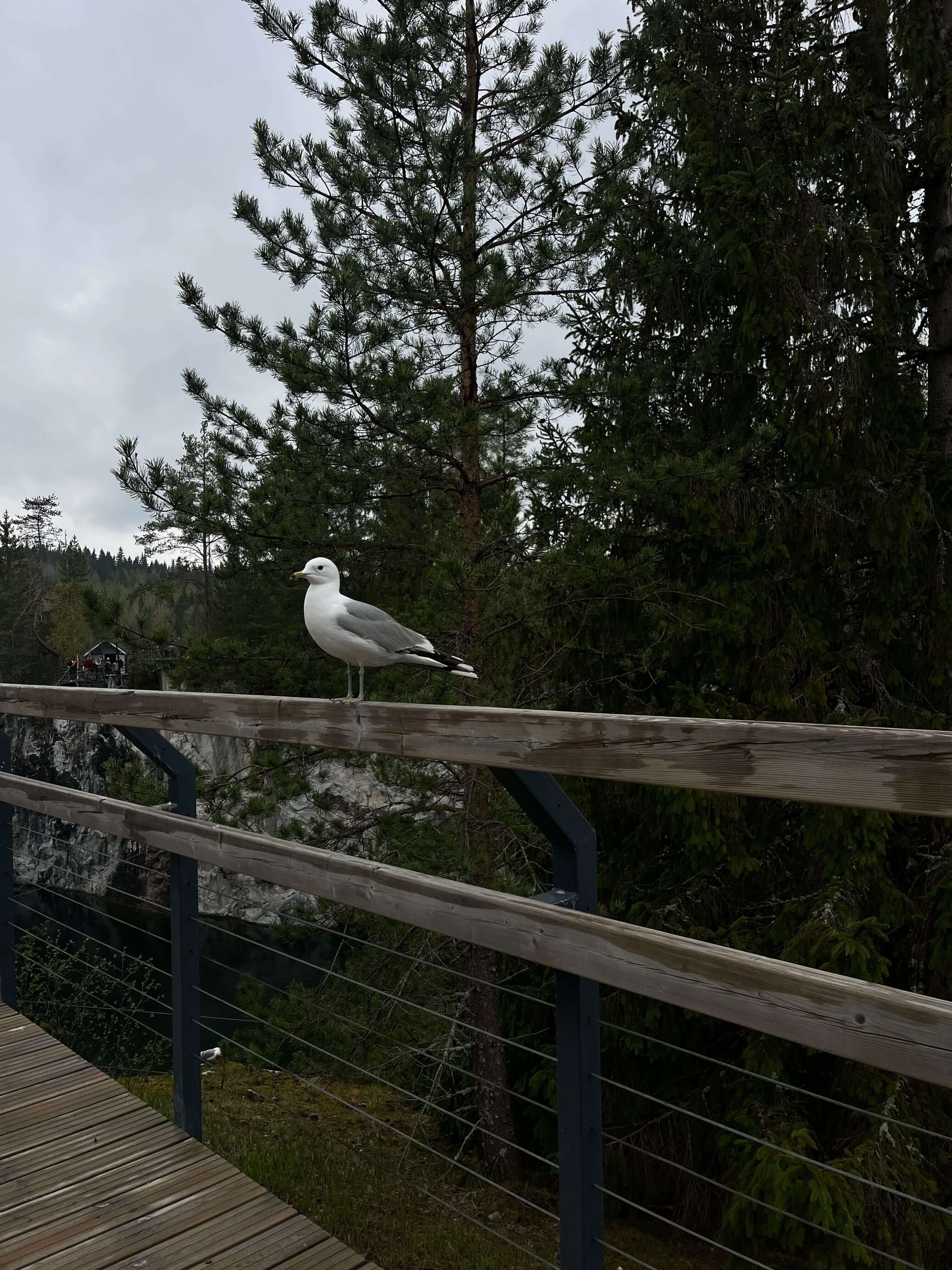 Горный парк «Рускеала»