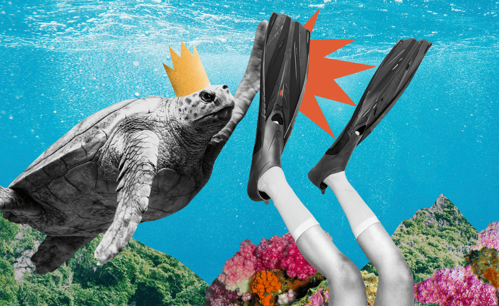 Тайский остров Ко Тао: вот 5 причин, по которым вам нужно его посетить