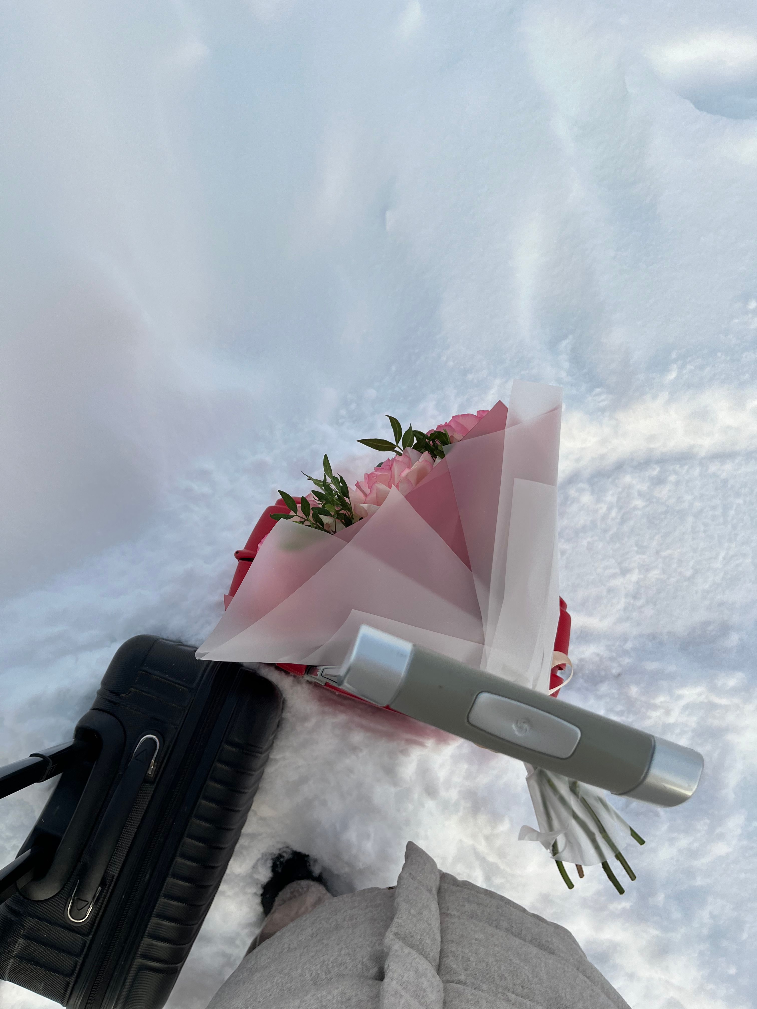 Цветы на снегу