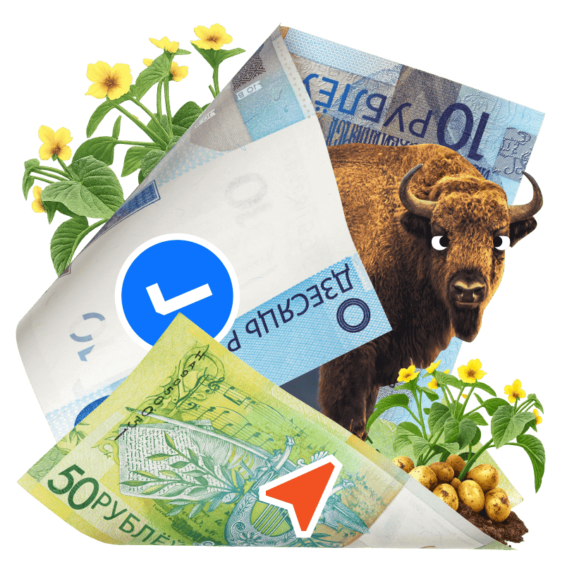 Как платить в Беларуси в 2026 году