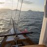 DSC00411.jpg
