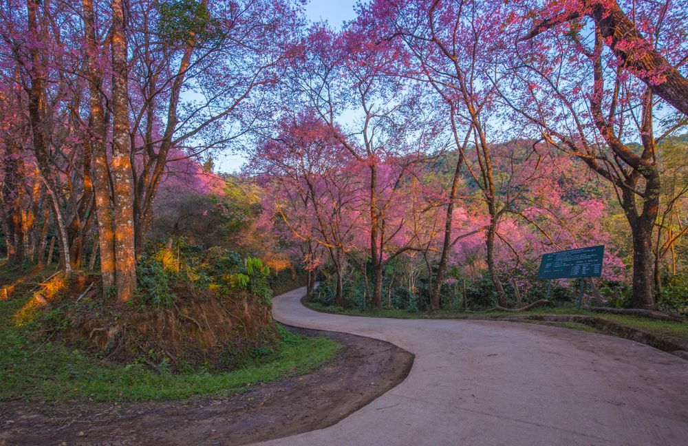 Деревня Khun Chang Khian