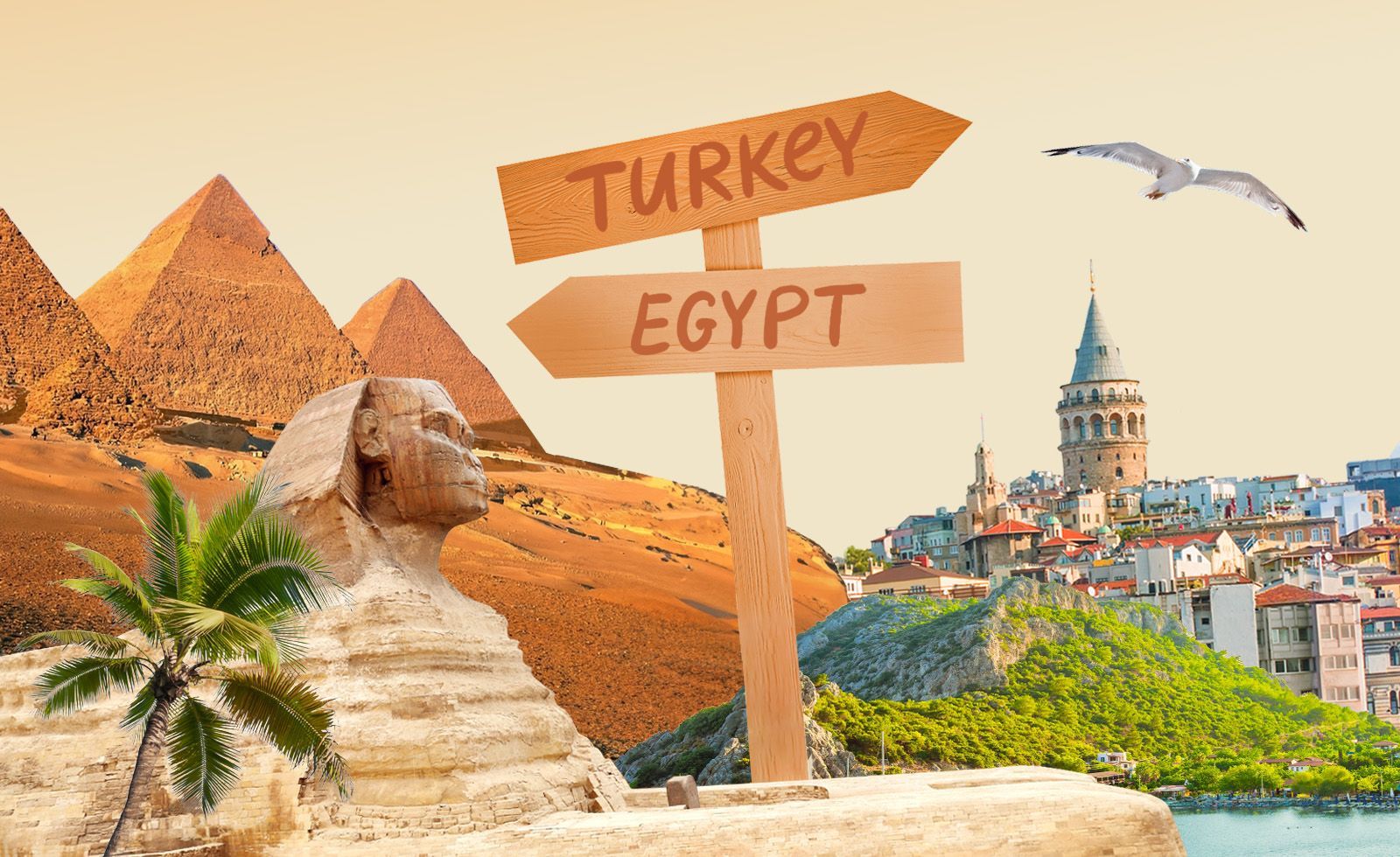 Түркияға барған дұрыс па, Египетке ме? Салыстырып көрейік