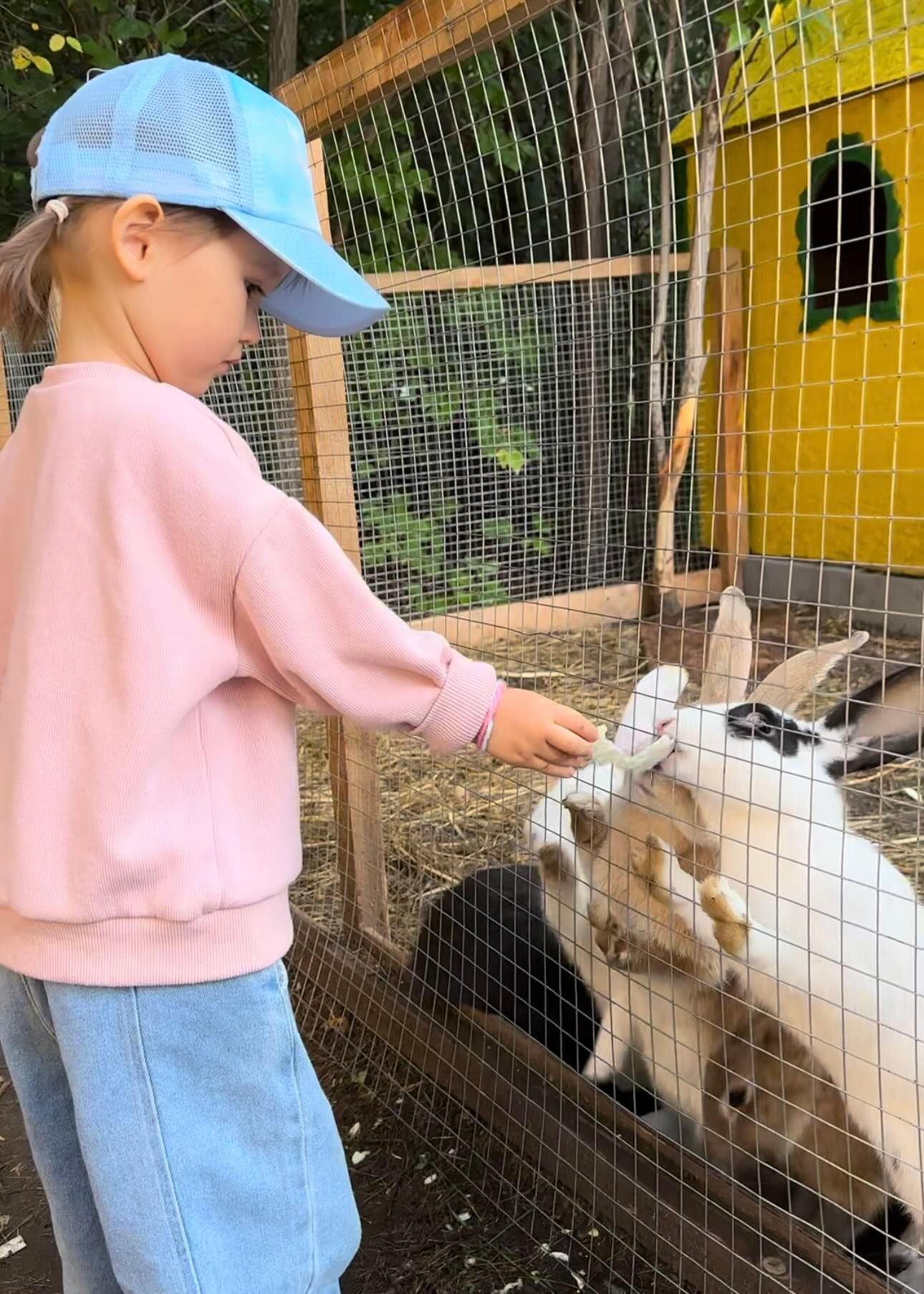 Где провести время с детьми в Астане: лучшие места для прогулок и развлечений