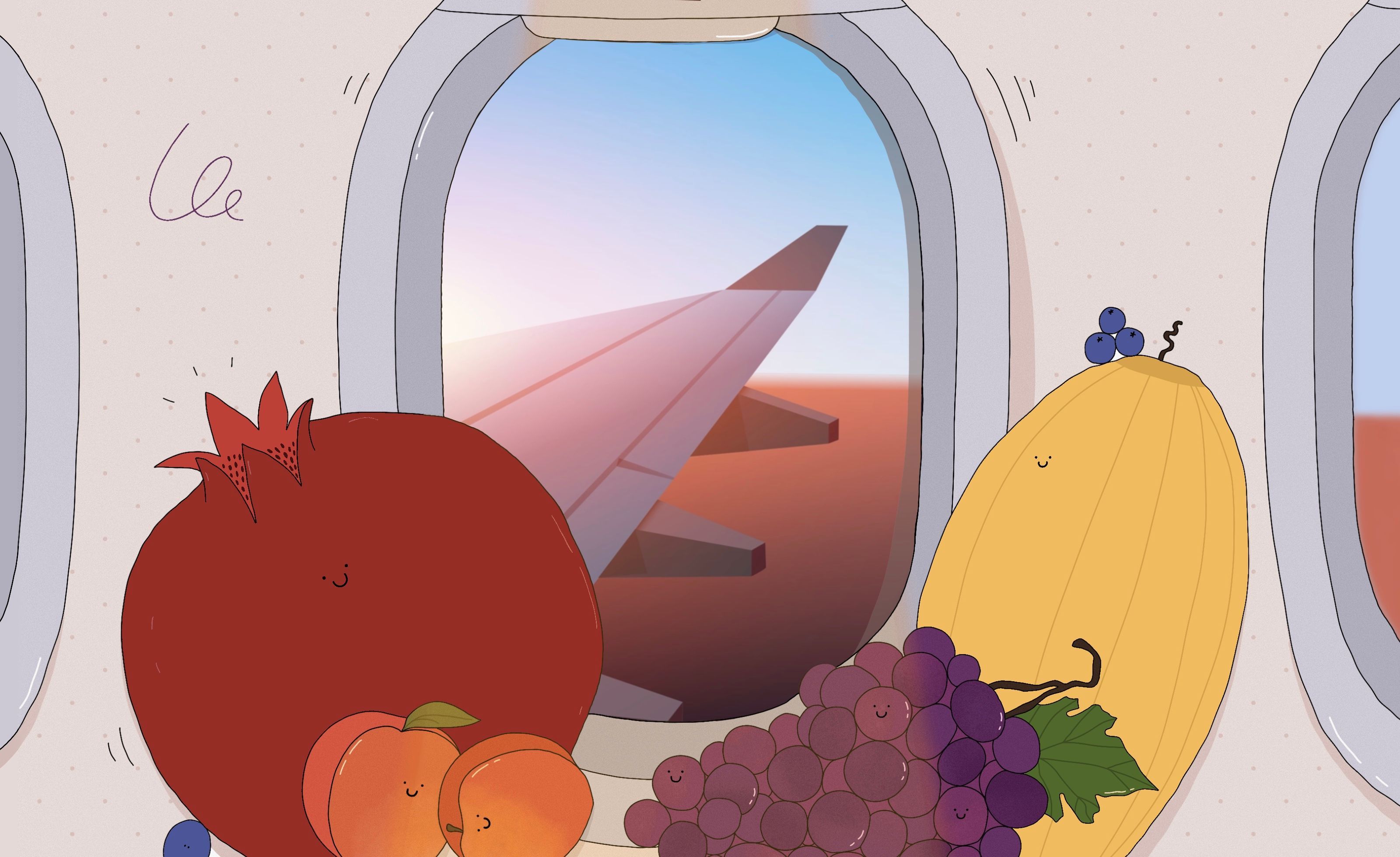 Samolyotga mevalar olib chiqish mumkinmi: qo‘l yuki va bagajga nimalarni solsa bo‘ladi?