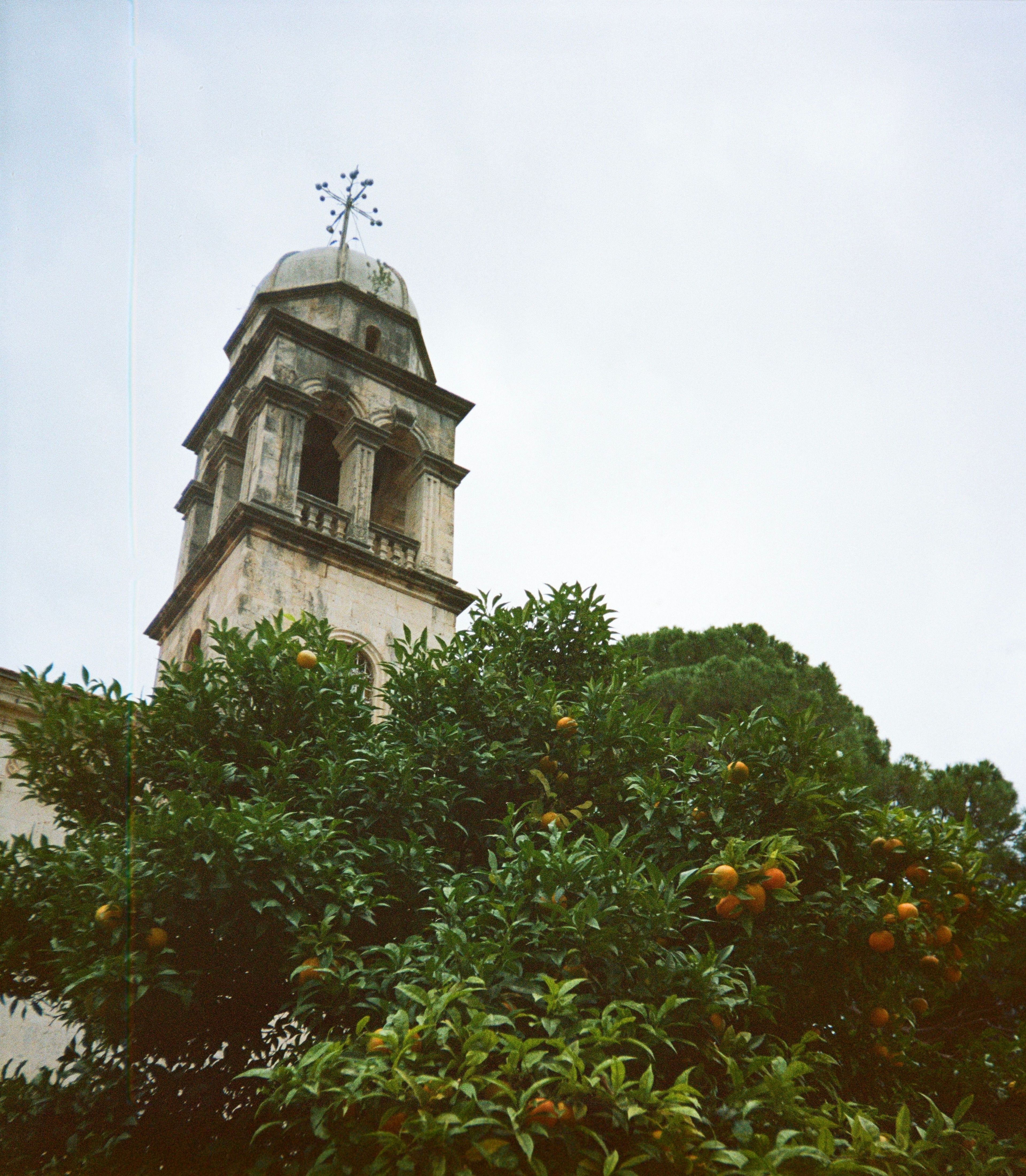 Херцег-Нови