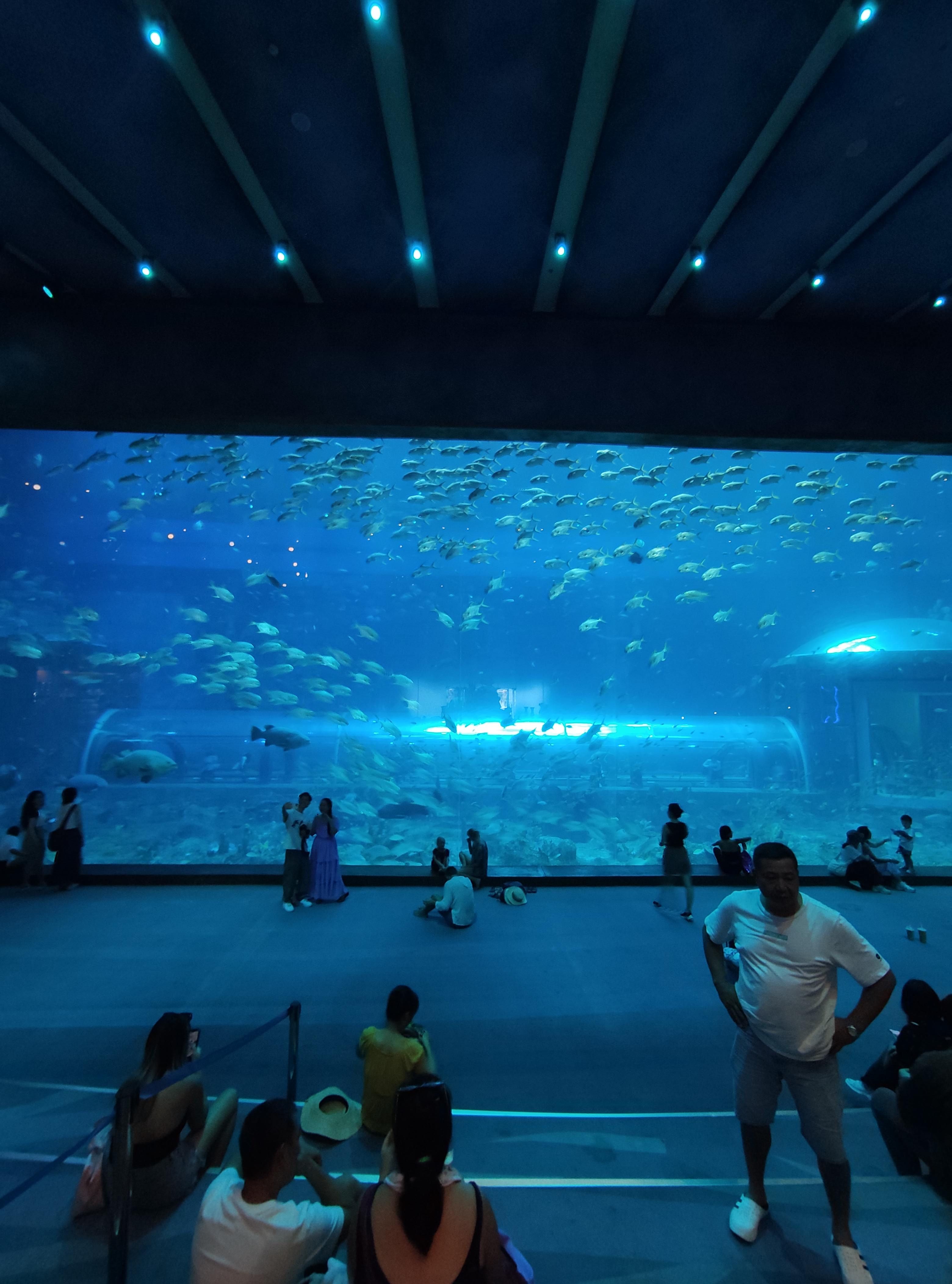 IMG_20231216_123010 (1).jpg
