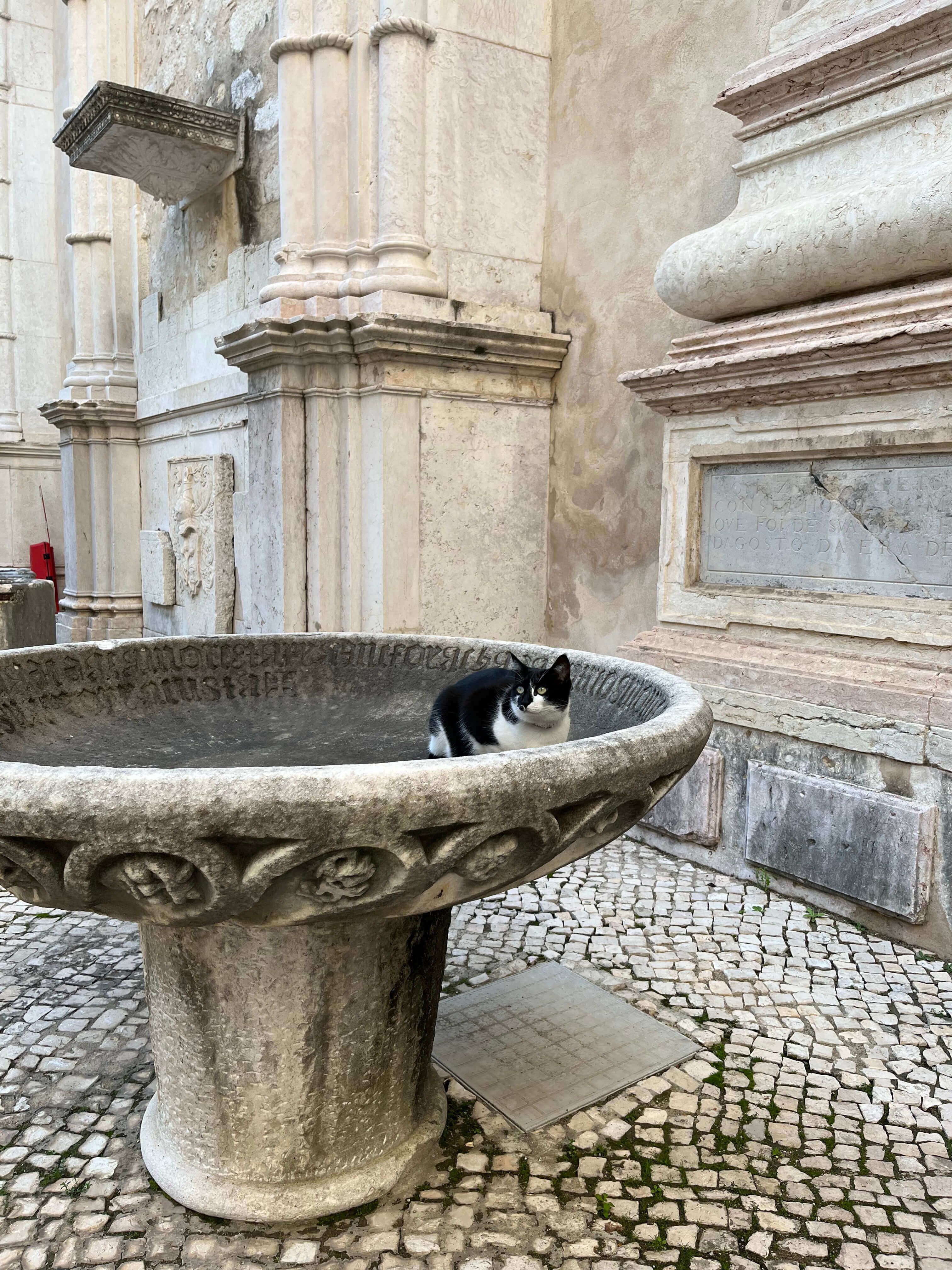 Улицы Лиссабона