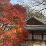 IMG_3296.jpeg