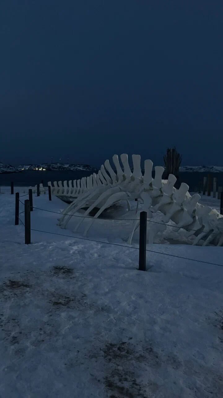 Скульптура из фильма «Левиафан» в Териберке