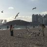 IMG_4985.jpg
