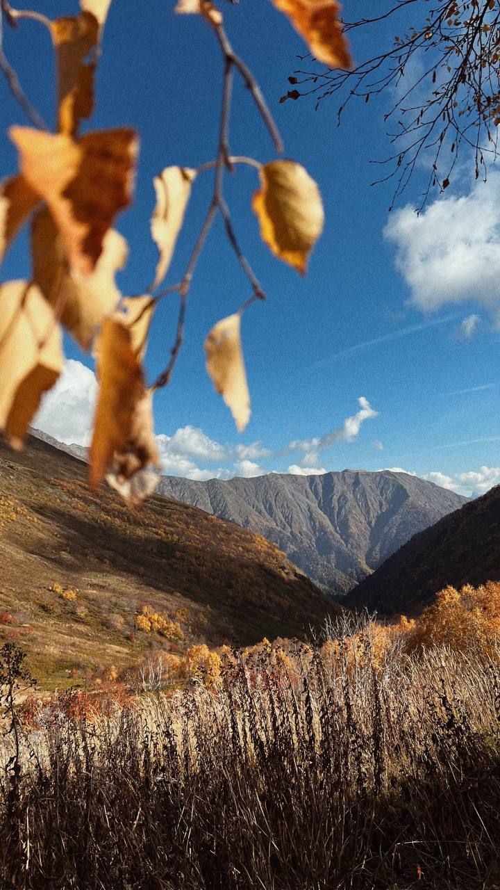 Бзерпинский карниз в Сочи
