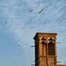 IMG_6832.jpg