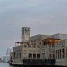 IMG_7003.jpg