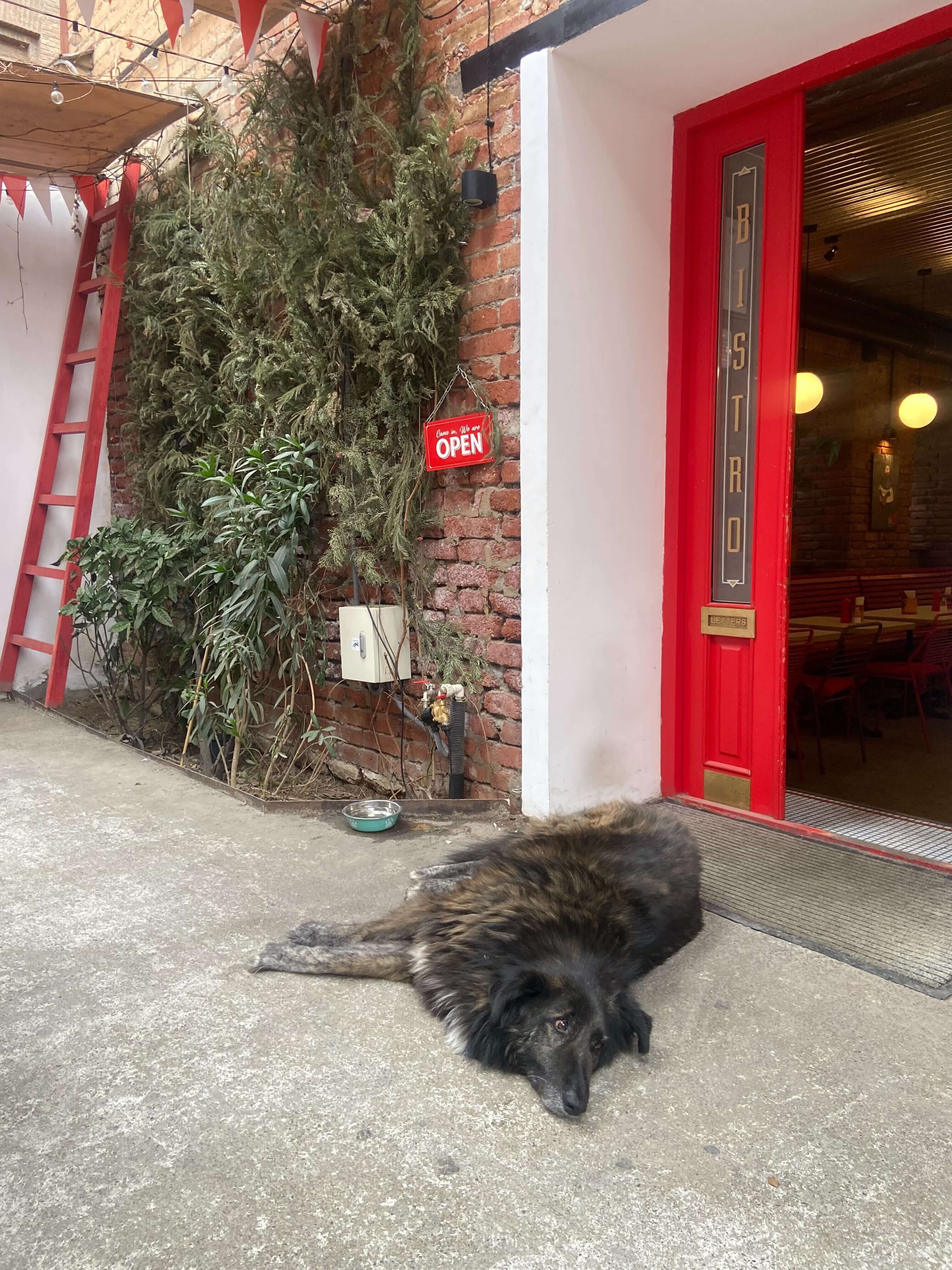 Пиццерия в Тбилиси