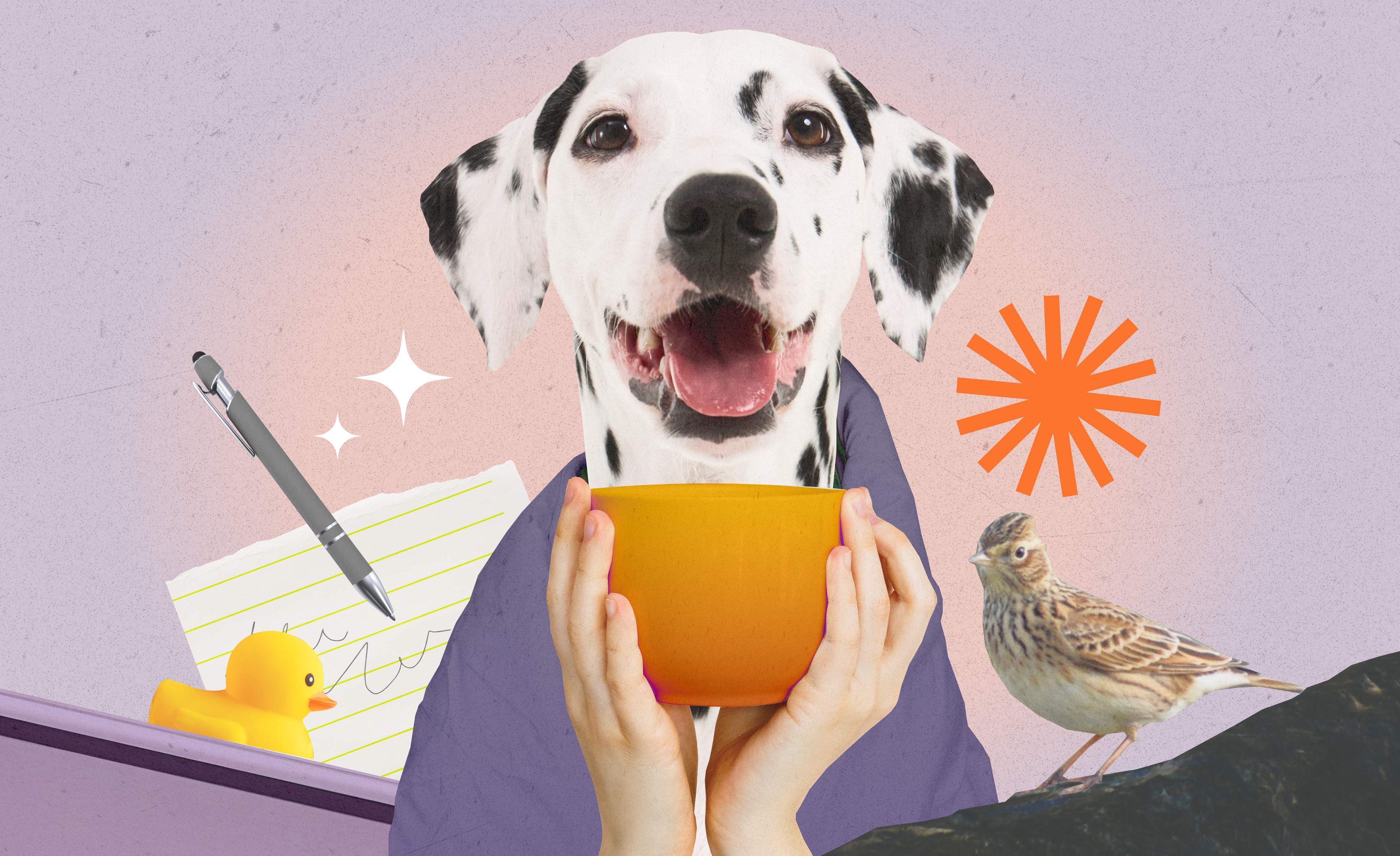 18 способов перезарядиться, если нет ни сил, ни денег