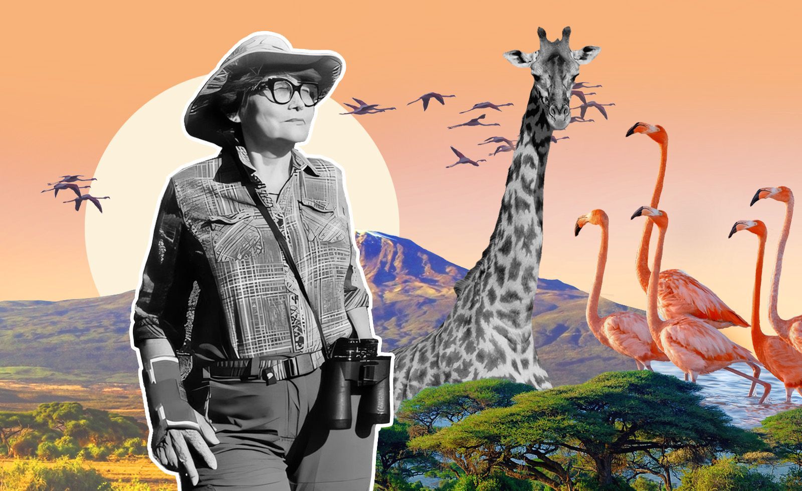 Африкаға барып келген әженің көргені мен кеңесі