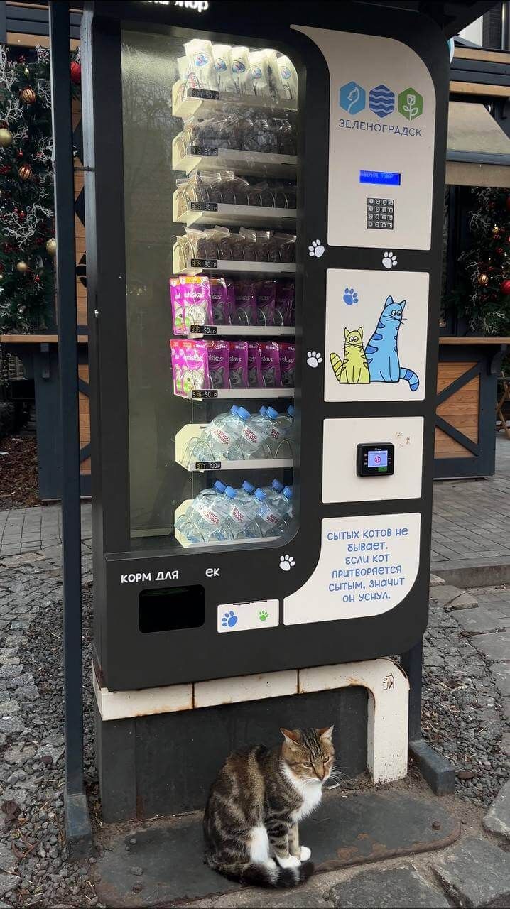 Автомат с кошачим кормом в Зеленоградске