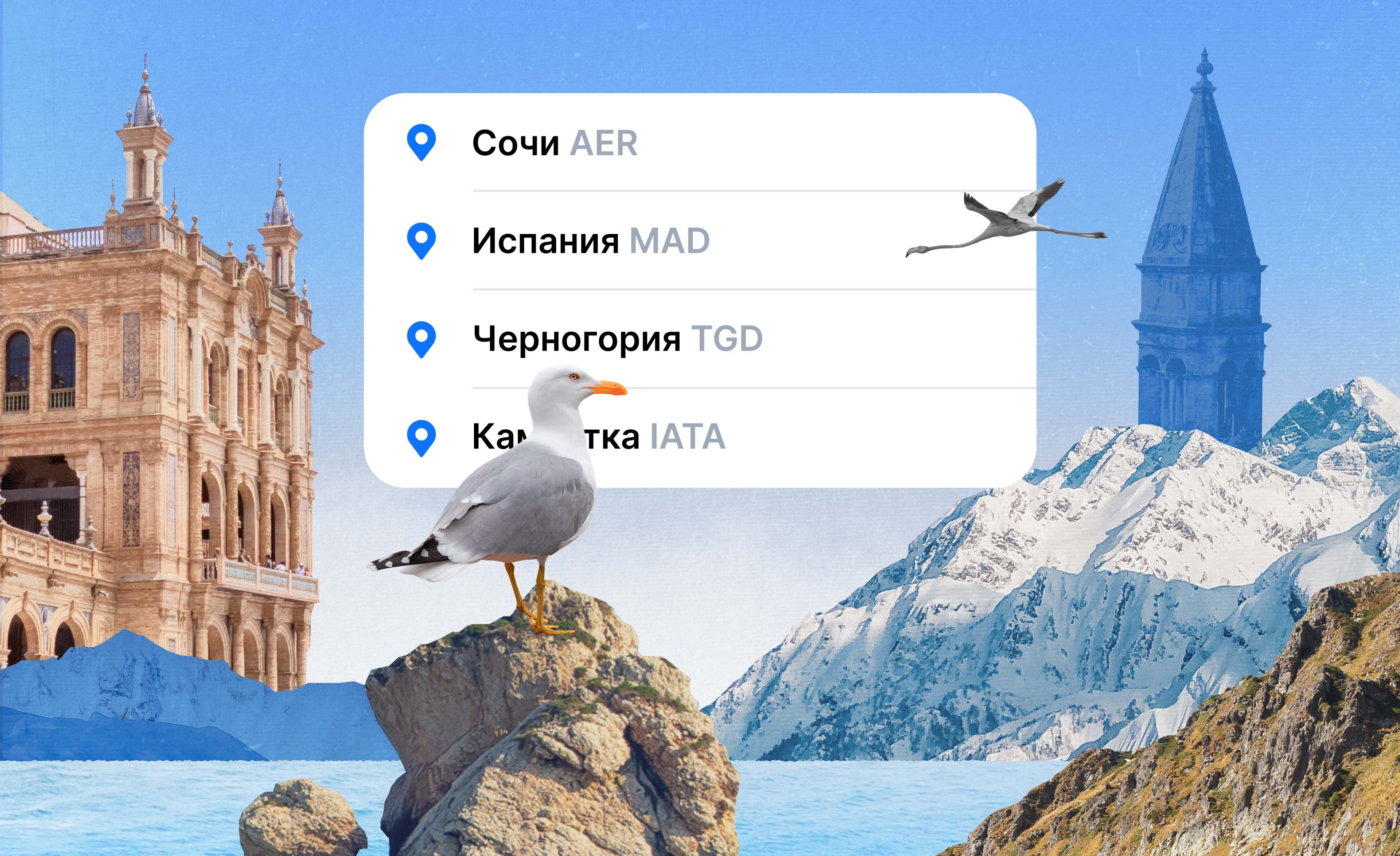 Куда поехать в июне: плаваем с черепахами и прыгаем через костёр