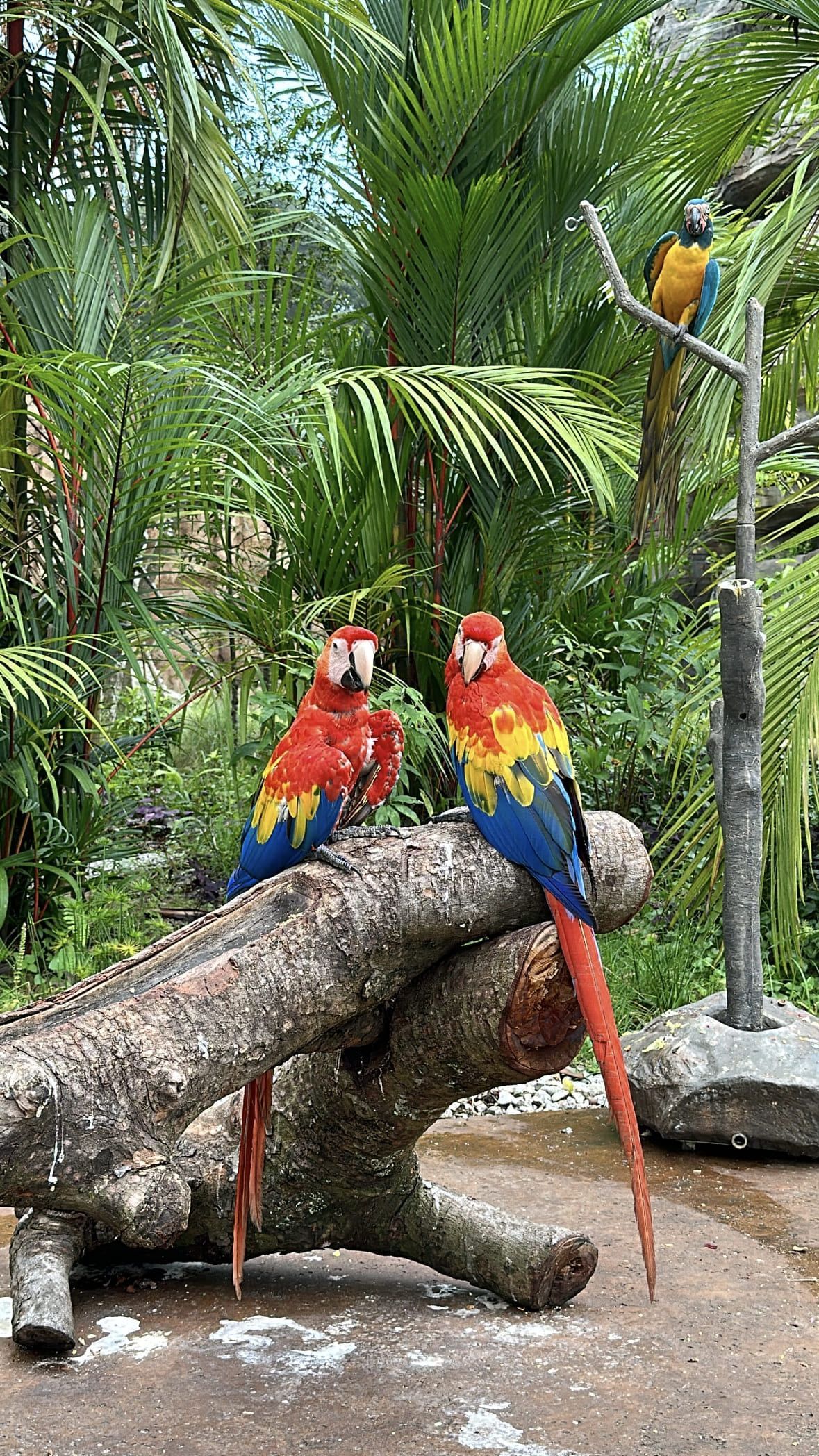 Сингапур за 96 часов: главные места и вкусные находки