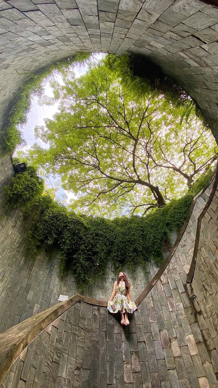 Сингапур за 96 часов: главные места и вкусные находки